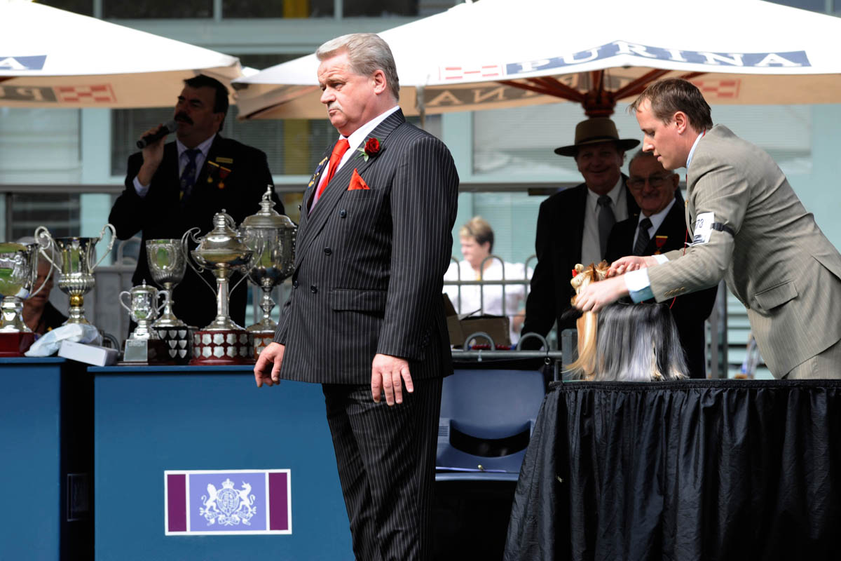 Dog Show judging