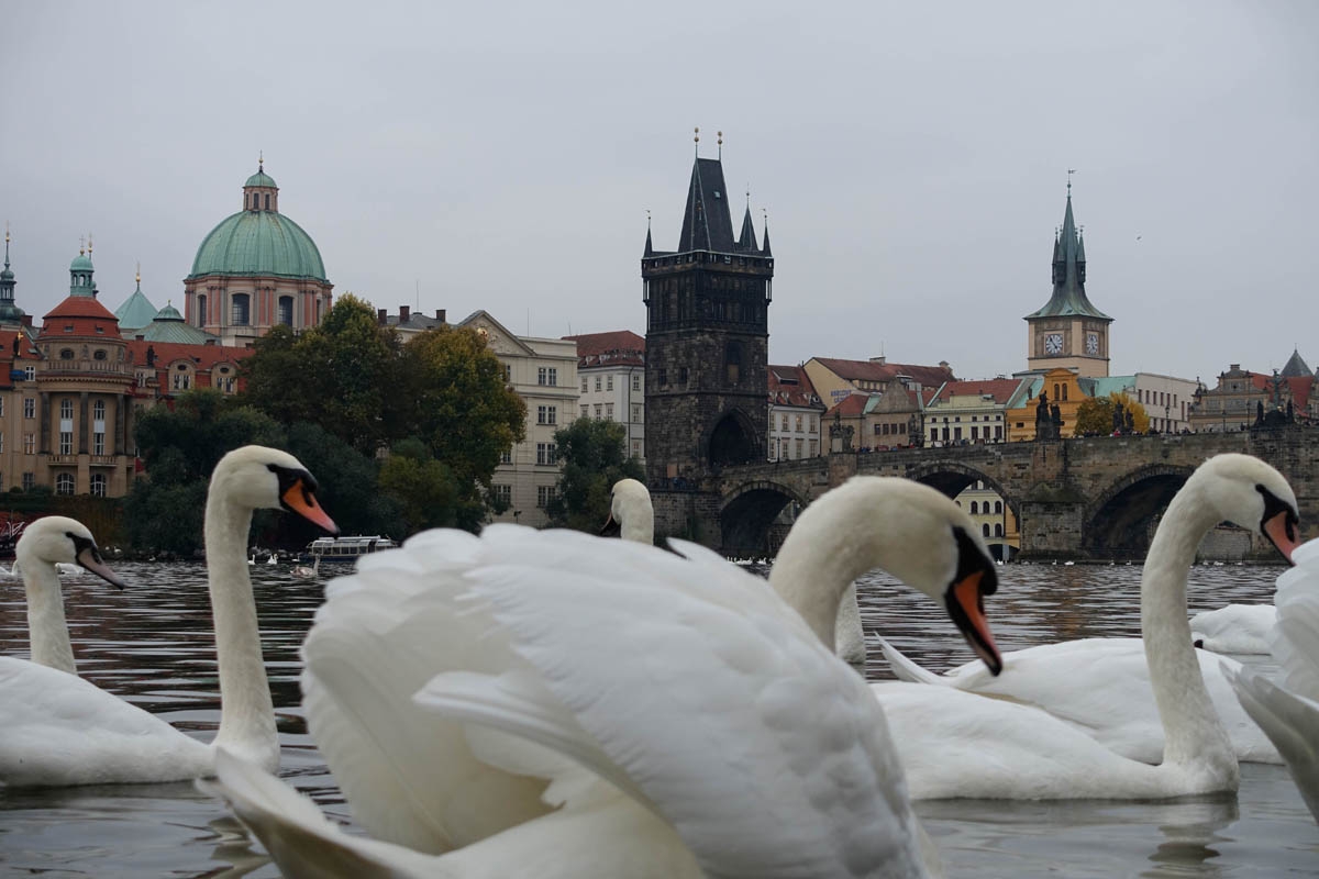 Vitava river, Prague