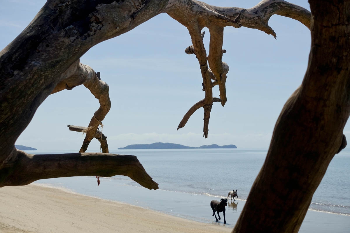 Snapper Island, Far North Queensland