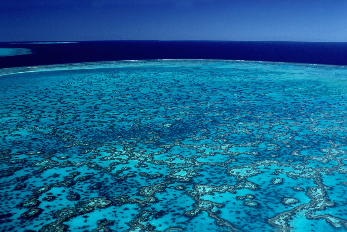 Wistari reef, QLD. Australia