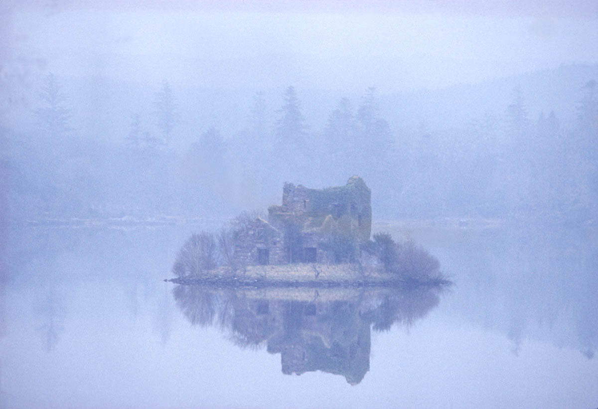 Bord Fáilte, Tourism Ireland