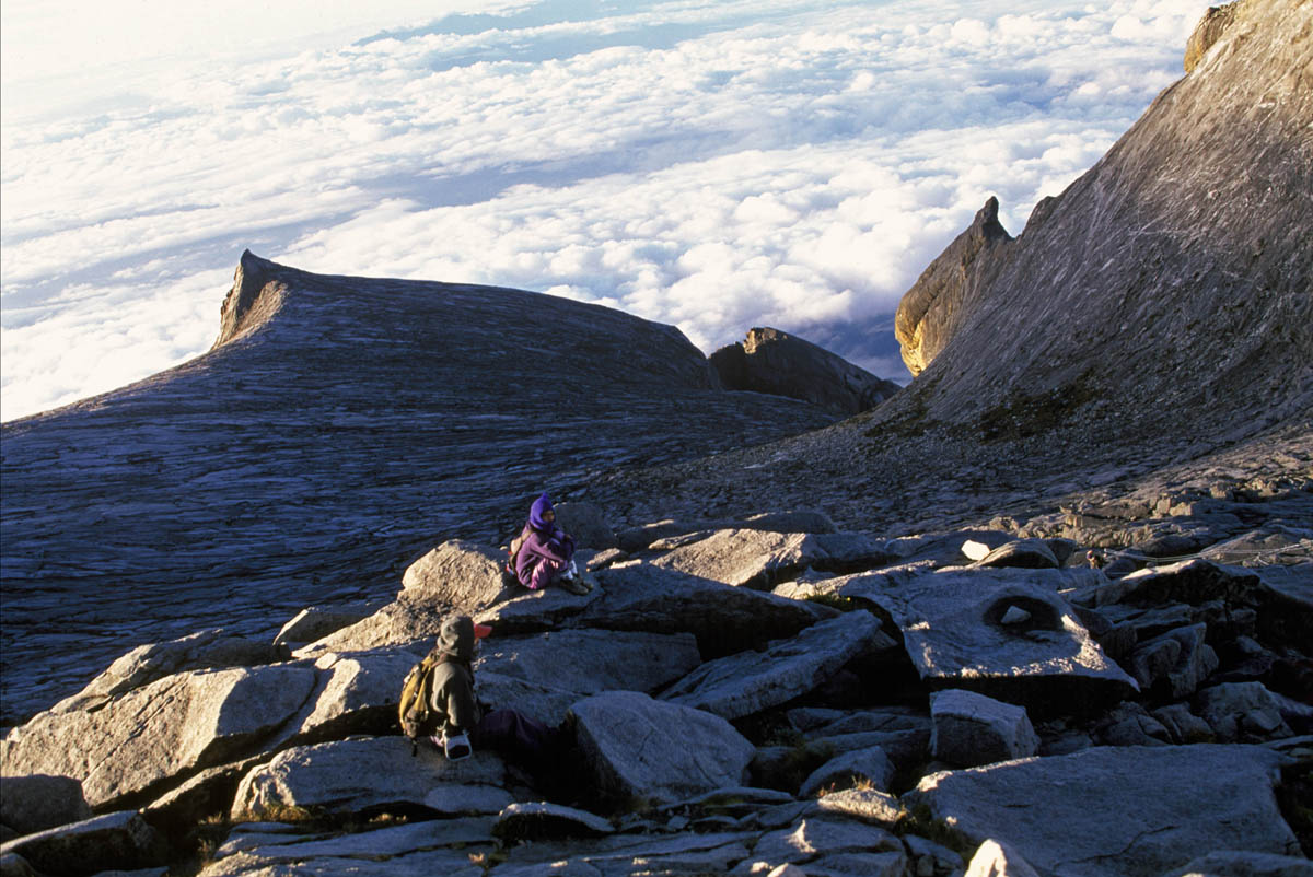13,500 ft summit of Mt Kinabalu. Borneo