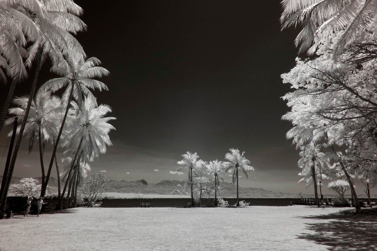 Port Douglas, Far North Queensland