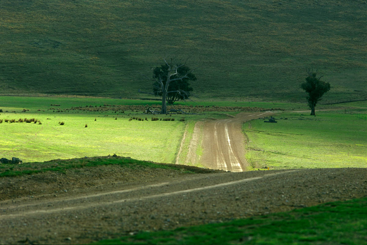 Country road, NSW, Australia