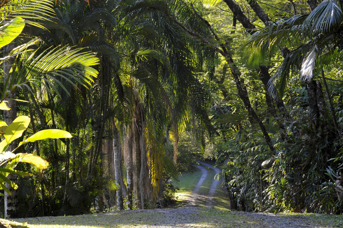 Driveway entrance