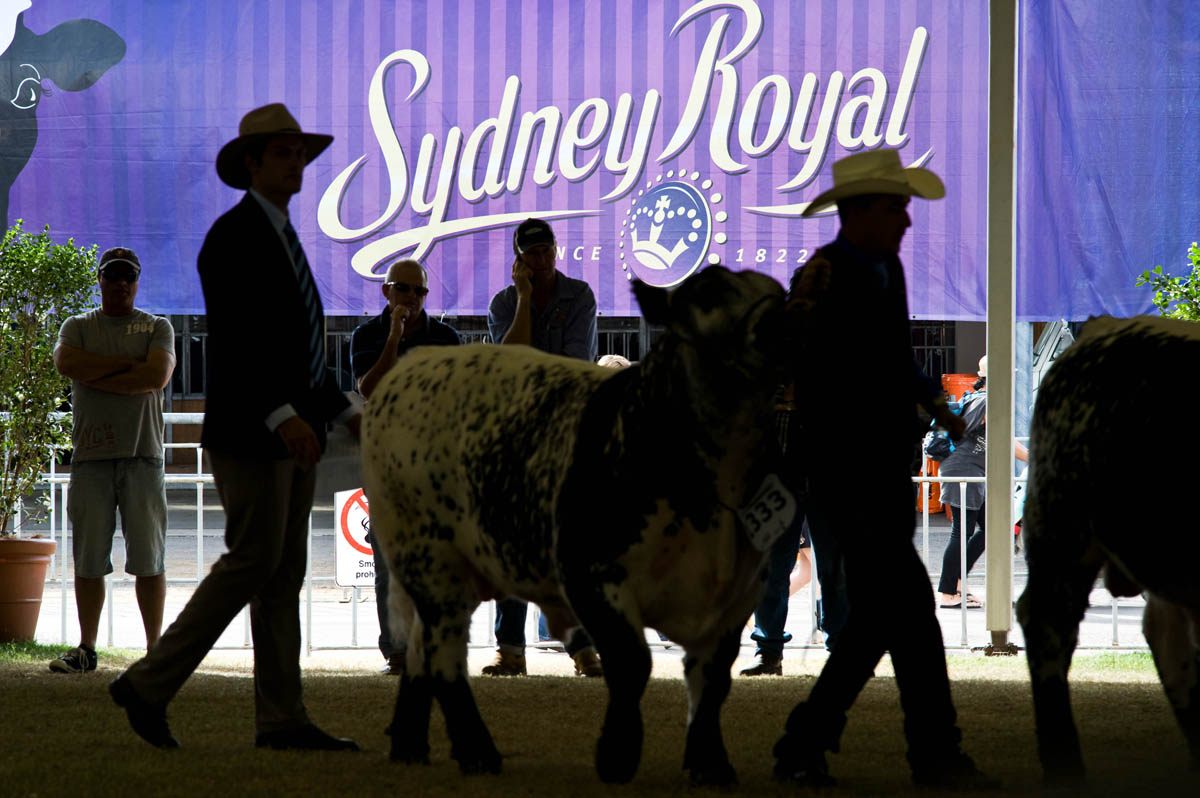 Sydney Royal Easter Show