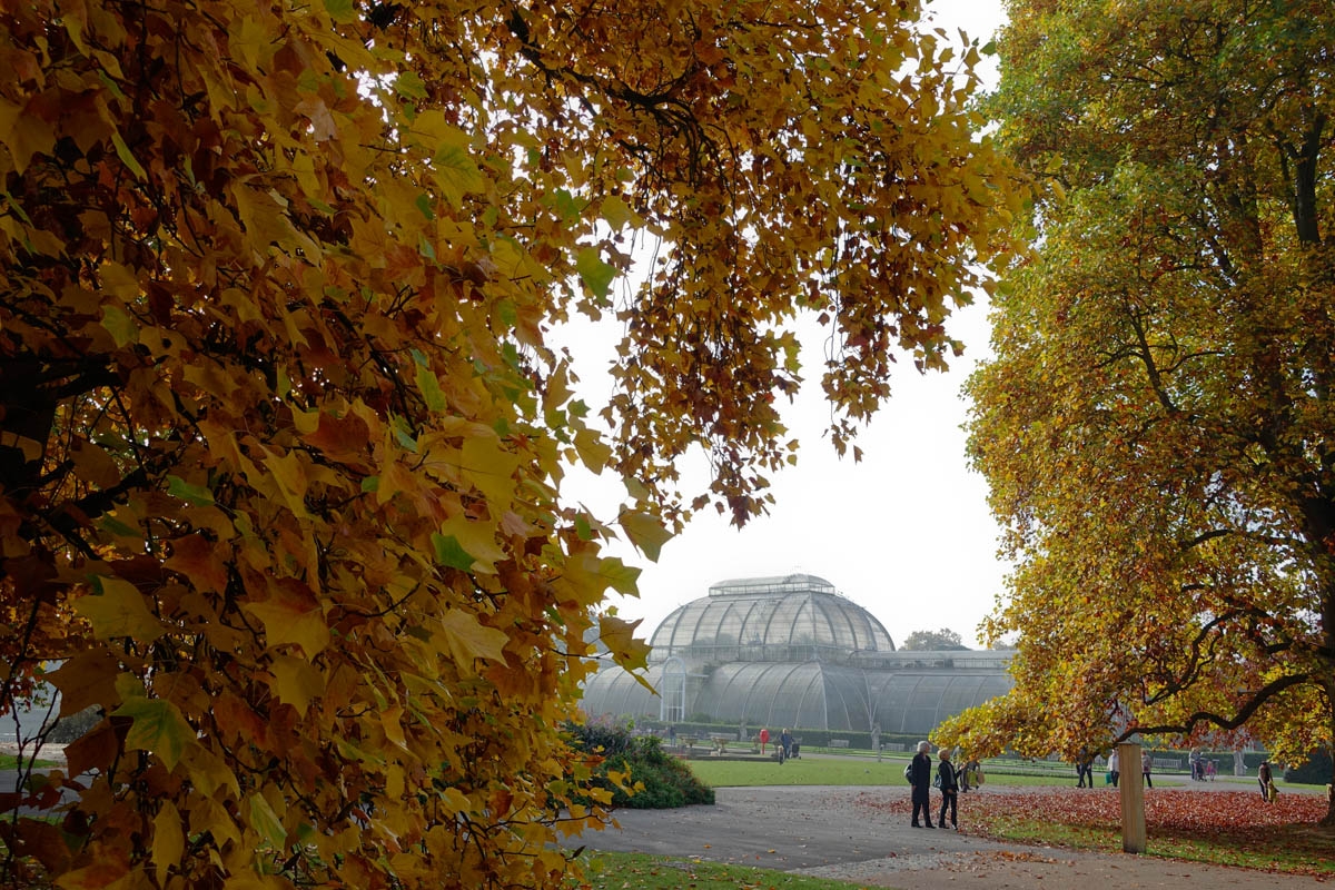 Kew Gardens, London