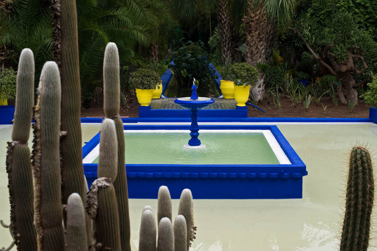 Majorelle Jardin. Yves St Laurent, Marrakesh