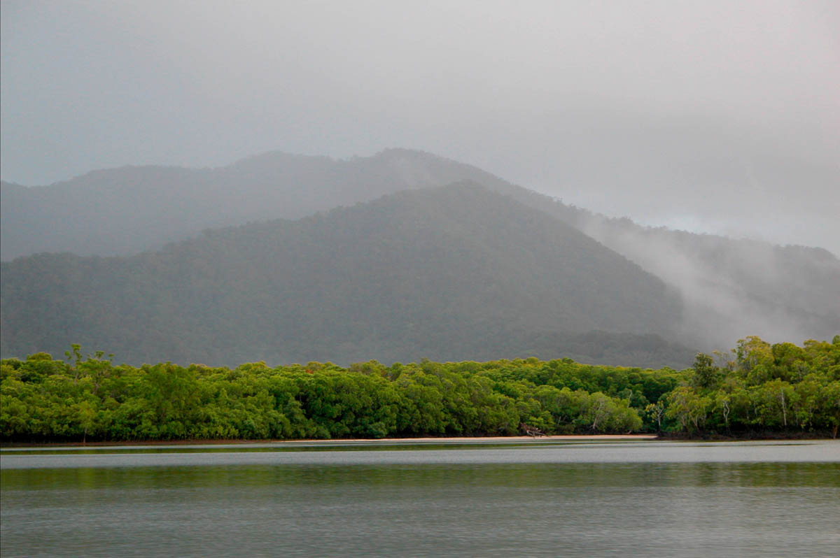 Daintree river, Far North Queensland