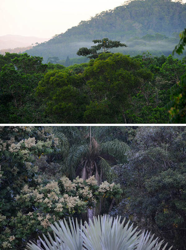 Garden views