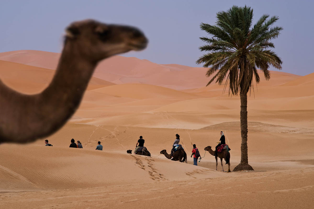 Merzouga