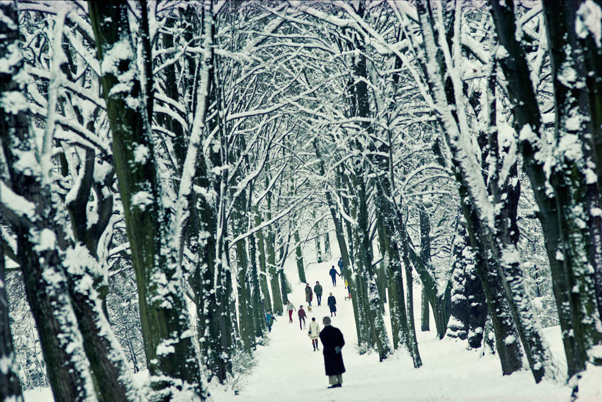 Xmas in Hampstead, London