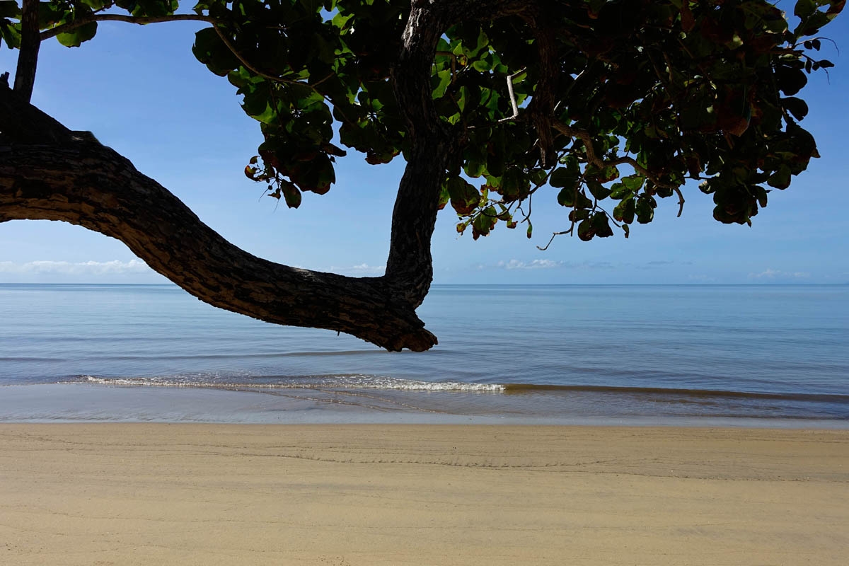 Wonga Beach, FNQ, Australia